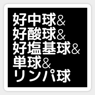 The Leukocytes in Japanese | Neutrophil&Eosinophil&Basophil... Magnet